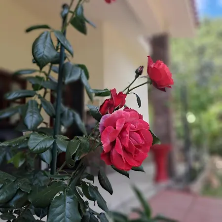 Hotel Su Mannau Fluminimaggiore